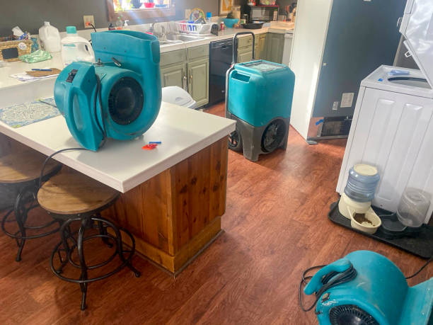 Best Flood damage cleanup  in Springs, NY