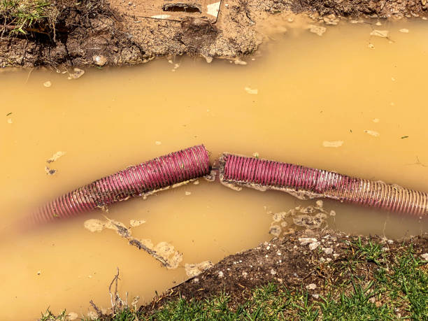 Best 24-hour water damage restoration  in Springs, NY